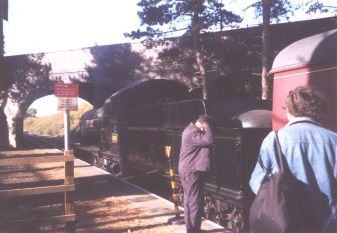 GWR 3822 at Cheltenham Racecourse