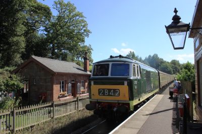British Railways Class 35 'Hymek' diesel-hydraulic, D7017, arriving at Stogumber on the West Somerset Railway with a train from Bishops Lydeard to Minehead. – 31 August 2014 – Geof Sheppard – from Wikimedia Commons (CC-by-SA-4) A smartly restored diesel locomotive pulls a summertime passenger train into a station on a heritage railway in the Somerset countryside. The station, which is surrounded by a good number of trees, has been restored to its 1930s appearance, with period fittings and platform furniture.