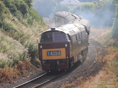 A heritage diesel locomotive, in 1960s British Railways maroon livery, hauls a three-coach train around a sharp curve towards the viewer. The train is in a deep cutting whose banks are lined with rosebay willowherb in full bloom. The locomotive exhaust smoke casts a haze over the background.