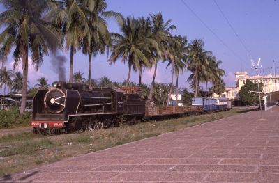Wood burning Pacific 231.501 about to leave Phnom Penh, Cambodia with a special train. January 2000. – Adrian Palmer Cambodia, January 2000: In front of a row of tall palm trees, under a cloudless blue sky, a large wood-burning steam locomotive is leaving a station with a mixed train. The train comprises bogie freight wagons and a few carriages. The station platform is a wide weed-free paved area level with the track, which, by contrast resembles a garden lawn: the rails being completely obscured by the foliage.