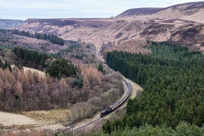 A steam-hauled passenger train dwarfed by the surrounding scenery, forests and mountains.