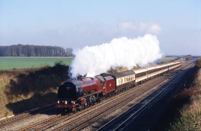 LMS Princess Coronation Class 46229 Duchess of Hamilton on a mainline railtour, near Maidenhead, in 1994. (Derek Spicer) A large British steam locomotive hurries a railtour train through a shallow four-track cutting in open countryside.