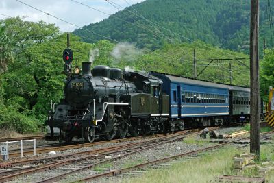 1930-built 2-6-4T locomotive C10.8 preserved and running on the Oigawa Railway in Shizuoka Prefecture, Japan. (Colin Miell – 2023) A Japanese steam locomotive hauls a passenger train underneath the overhead electric wires of its home heritage railway. Behind the tree-lined railway boundary, a blanket of trees spreads up the steeply-sided mountain and out of sight.