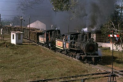 A sugar cane plantation in Cuba in 2002: a heavily-loaded freight train, hauled by two steam locomotives, is approaching a flat crossing