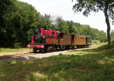 French narrow gauge train - Michael Bunn