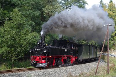 german, narrow gauge, 0-4-4-0 steam locomotive in the forest