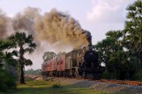 Class B1d 4-6-0 performs a late afternoon runpast near Kalkudah,
en route from Galoya Junction to Batticaloa, 21st January 2015. (by Colin Miell) Class B1d on runpast