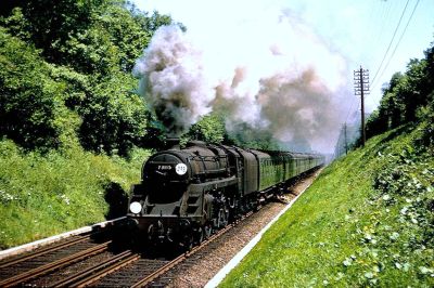 Standard Class 5MT with an express passenger train in a leafy cutting