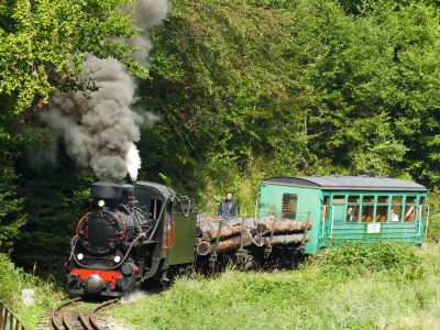 Mixed narrow gauge steam train of log wagons and carriage in forest
